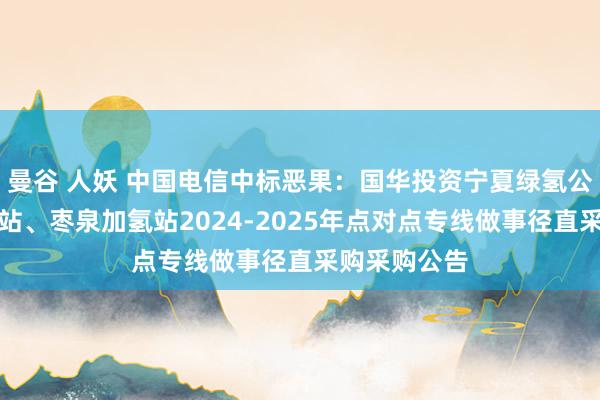 曼谷 人妖 中国电信中标恶果：国华投资宁夏绿氢公司永利加氢站、枣泉加氢站2024-2025年点对点专线做事径直采购采购公告