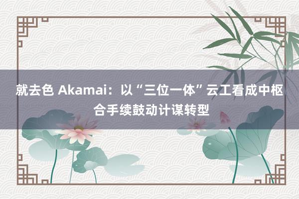 就去色 Akamai：以“三位一体”云工看成中枢 合手续鼓动计谋转型