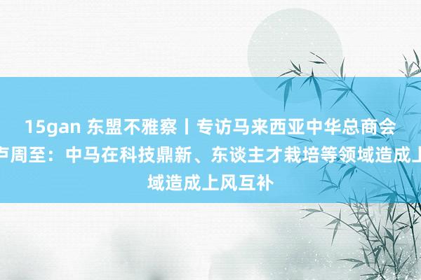 15gan 东盟不雅察丨专访马来西亚中华总商会总会长卢周至：中马在科技鼎新、东谈主才栽培等领域造成上风互补