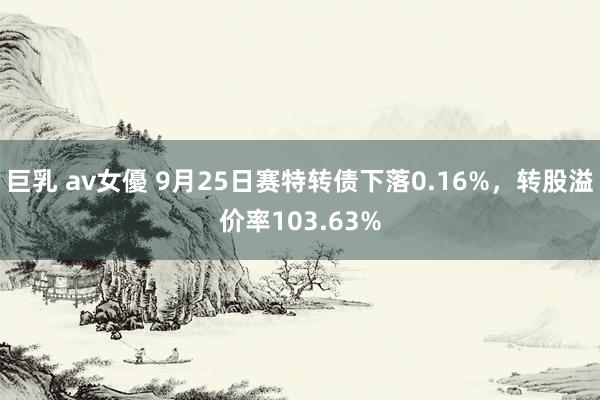 巨乳 av女優 9月25日赛特转债下落0.16%，转股溢价率103.63%