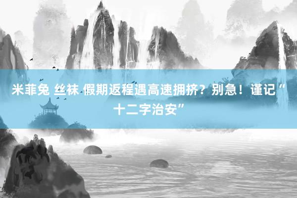 米菲兔 丝袜 假期返程遇高速拥挤？别急！谨记“十二字治安”