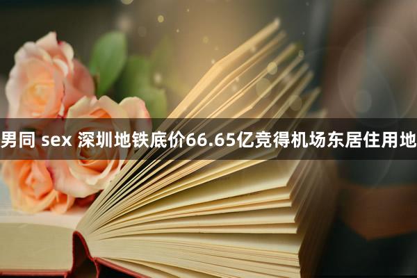 男同 sex 深圳地铁底价66.65亿竞得机场东居住用地