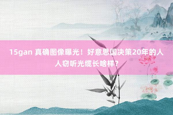 15gan 真确图像曝光！好意思国决策20年的人人窃听光缆长啥样？