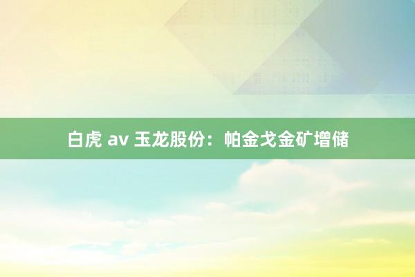 白虎 av 玉龙股份：帕金戈金矿增储