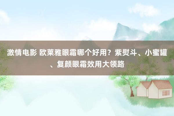 激情电影 欧莱雅眼霜哪个好用？紫熨斗、小蜜罐、复颜眼霜效用大领路