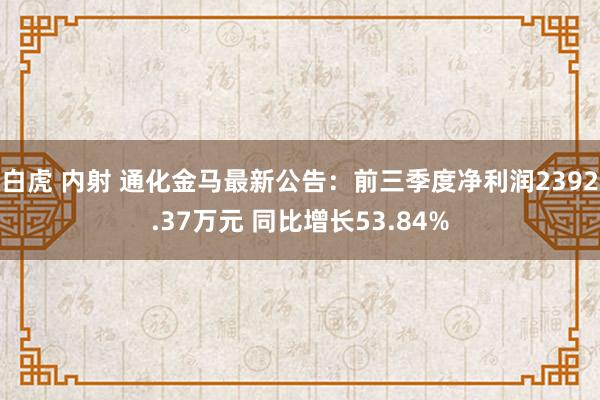 白虎 内射 通化金马最新公告：前三季度净利润2392.37万元 同比增长53.84%