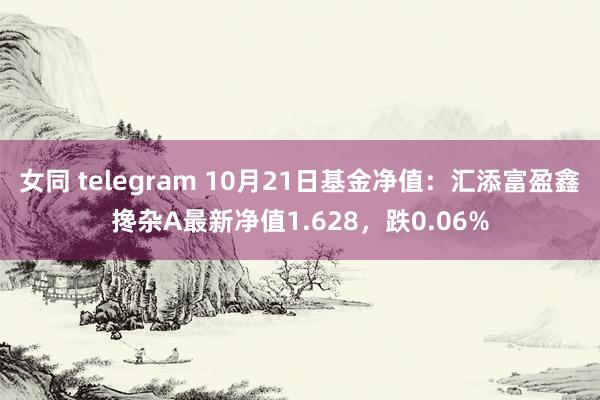 女同 telegram 10月21日基金净值：汇添富盈鑫搀杂A最新净值1.628，跌0.06%