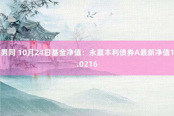 男同 10月24日基金净值：永赢丰利债券A最新净值1.0216