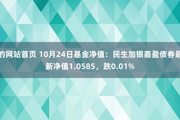 的网站首页 10月24日基金净值：民生加银嘉盈债券最新净值1.0585，跌0.01%