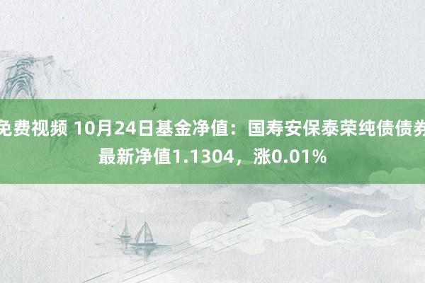 免费视频 10月24日基金净值：国寿安保泰荣纯债债券最新净值1.1304，涨0.01%