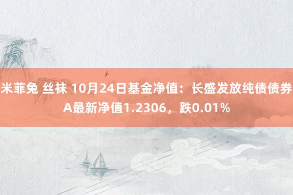 米菲兔 丝袜 10月24日基金净值：长盛发放纯债债券A最新净值1.2306，跌0.01%