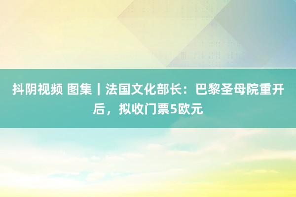 抖阴视频 图集｜法国文化部长：巴黎圣母院重开后，拟收门票5欧元