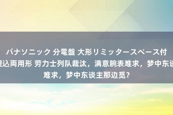 パナソニック 分電盤 大形リミッタースペース付 露出・半埋込両用形 劳力士列队裁汰，满意腕表难求，梦中东谈主那边觅？