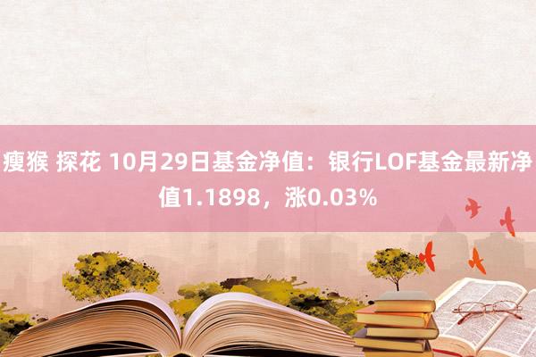 瘦猴 探花 10月29日基金净值：银行LOF基金最新净值1.1898，涨0.03%