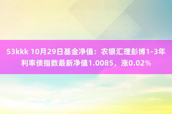 53kkk 10月29日基金净值：农银汇理彭博1-3年利率债指数最新净值1.0085，涨0.02%