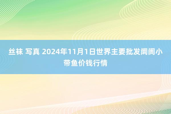 丝袜 写真 2024年11月1日世界主要批发阛阓小带鱼价钱行情