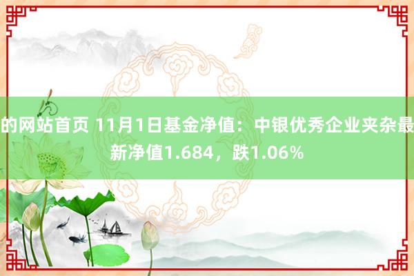 的网站首页 11月1日基金净值：中银优秀企业夹杂最新净值1.684，跌1.06%