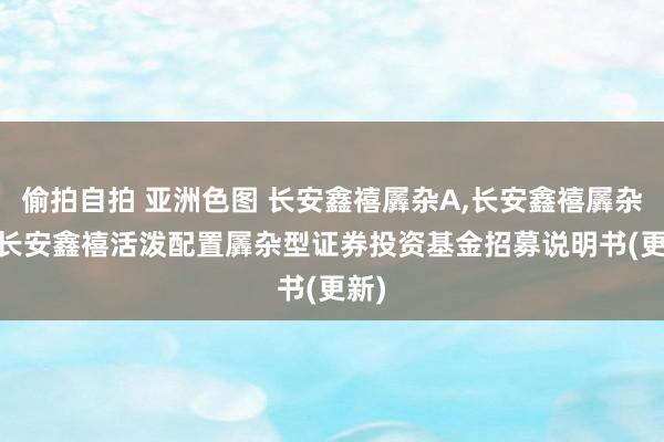 偷拍自拍 亚洲色图 长安鑫禧羼杂A，长安鑫禧羼杂C: 长安鑫禧活泼配置羼杂型证券投资基金招募说明书(更新)