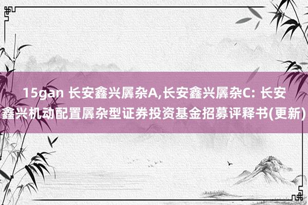 15gan 长安鑫兴羼杂A，长安鑫兴羼杂C: 长安鑫兴机动配置羼杂型证券投资基金招募评释书(更新)