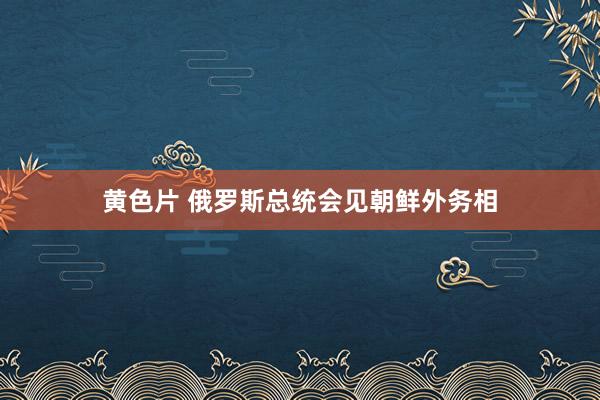 黄色片 俄罗斯总统会见朝鲜外务相