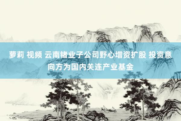 萝莉 视频 云南锗业子公司野心增资扩股 投资意向方为国内关连产业基金