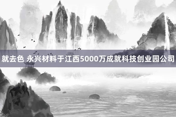 就去色 永兴材料于江西5000万成就科技创业园公司