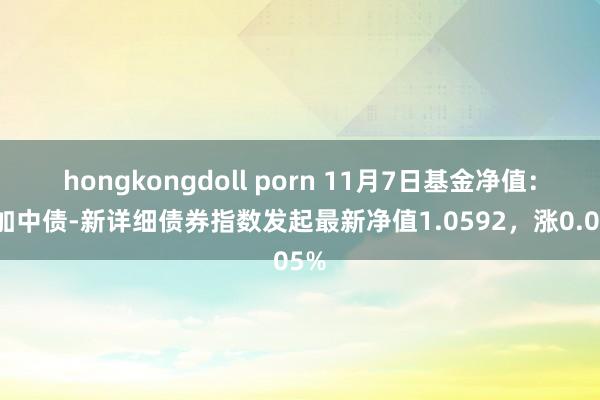 hongkongdoll porn 11月7日基金净值：中加中债-新详细债券指数发起最新净值1.0592，涨0.05%