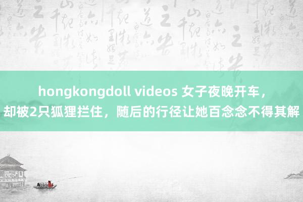 hongkongdoll videos 女子夜晚开车，却被2只狐狸拦住，随后的行径让她百念念不得其解