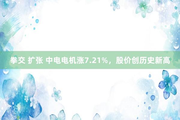 拳交 扩张 中电电机涨7.21%，股价创历史新高