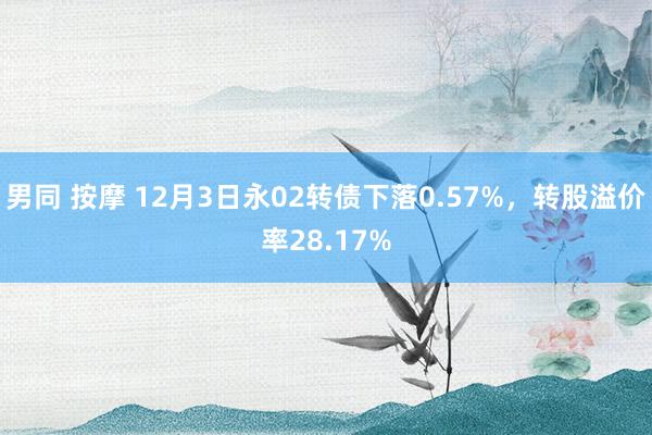 男同 按摩 12月3日永02转债下落0.57%，转股溢价率28.17%