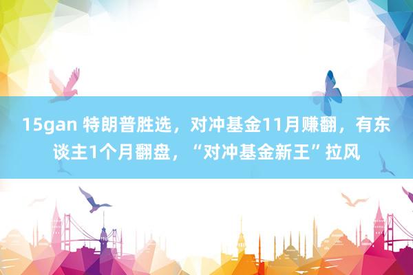 15gan 特朗普胜选，对冲基金11月赚翻，有东谈主1个月翻盘，“对冲基金新王”拉风