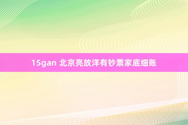 15gan 北京亮放洋有钞票家底细账