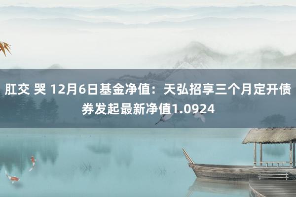 肛交 哭 12月6日基金净值：天弘招享三个月定开债券发起最新净值1.0924