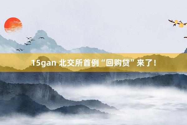 15gan 北交所首例“回购贷”来了！