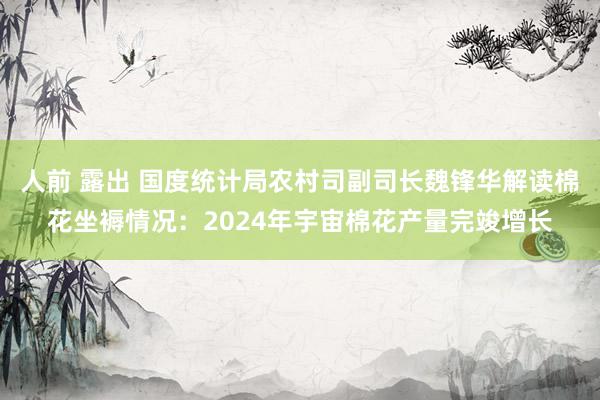 人前 露出 国度统计局农村司副司长魏锋华解读棉花坐褥情况：2024年宇宙棉花产量完竣增长