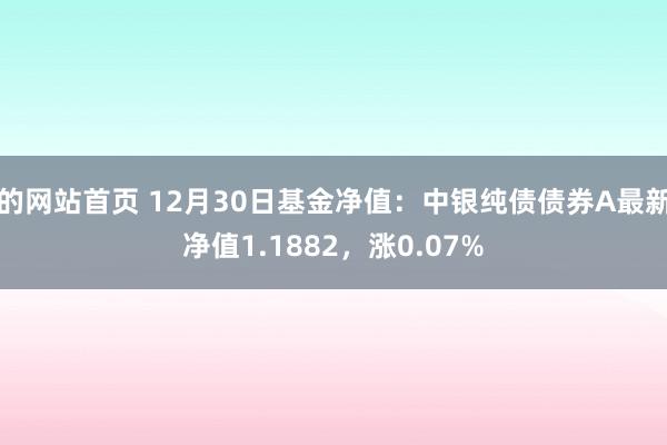 的网站首页 12月30日基金净值：中银纯债债券A最新净值1.1882，涨0.07%