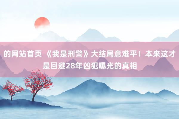 的网站首页 《我是刑警》大结局意难平！本来这才是回避28年凶犯曝光的真相