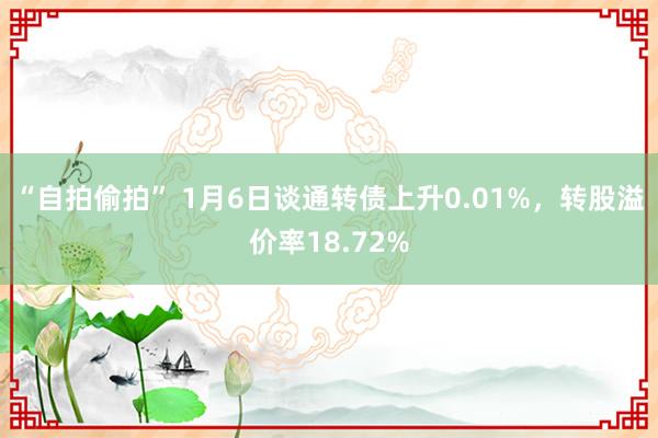 “自拍偷拍” 1月6日谈通转债上升0.01%，转股溢价率18.72%