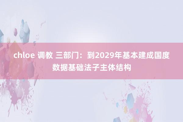 chloe 调教 三部门：到2029年基本建成国度数据基础法子主体结构