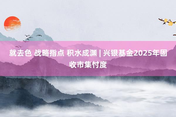 就去色 战略指点 积水成渊 | 兴银基金2025年固收市集忖度