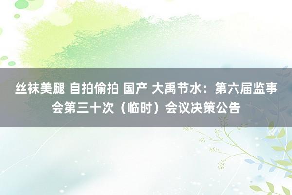 丝袜美腿 自拍偷拍 国产 大禹节水：第六届监事会第三十次（临时）会议决策公告