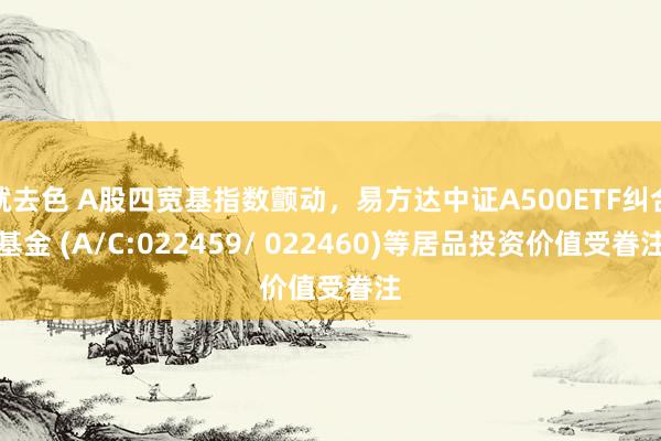 就去色 A股四宽基指数颤动，易方达中证A500ETF纠合基金 (A/C:022459/ 022460)等居品投资价值受眷注