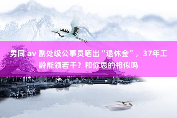 男同 av 副处级公事员晒出“退休金”，37年工龄能领若干？和你思的相似吗