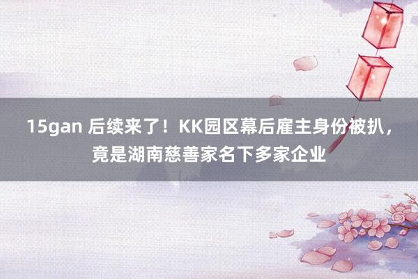 15gan 后续来了！KK园区幕后雇主身份被扒，竟是湖南慈善家名下多家企业