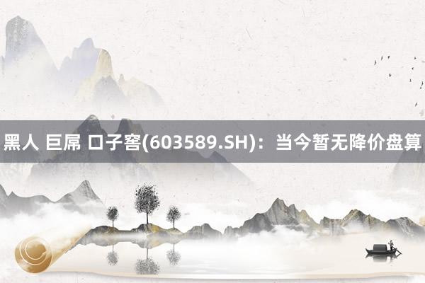 黑人 巨屌 口子窖(603589.SH)：当今暂无降价盘算