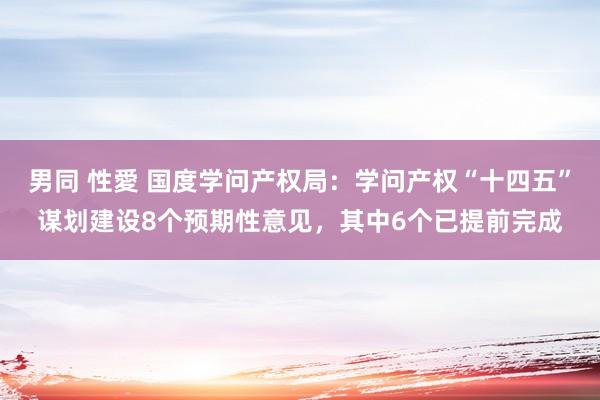 男同 性愛 国度学问产权局：学问产权“十四五”谋划建设8个预期性意见，其中6个已提前完成