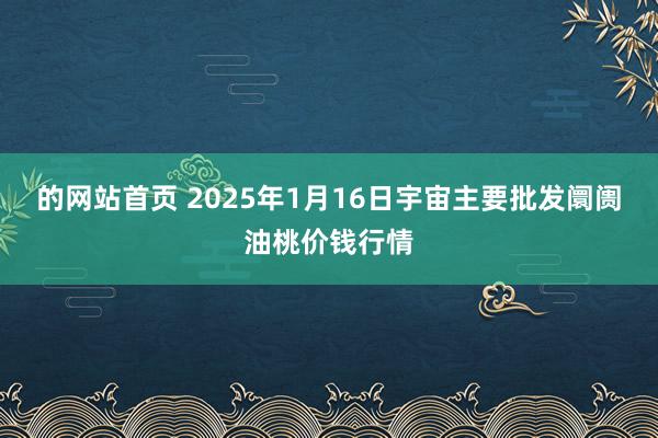 的网站首页 2025年1月16日宇宙主要批发阛阓油桃价钱行情