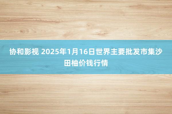 协和影视 2025年1月16日世界主要批发市集沙田柚价钱行情